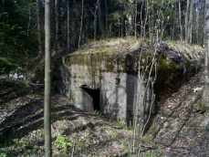 Shelter XXIII:2